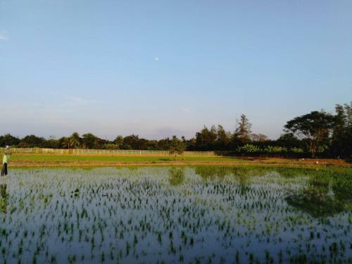 Hostal Baan Armon Resort