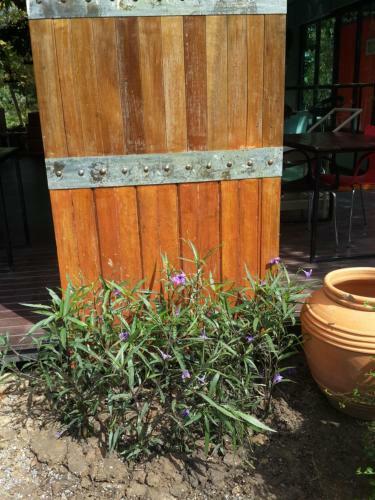 Hostal Baan Armon Resort
