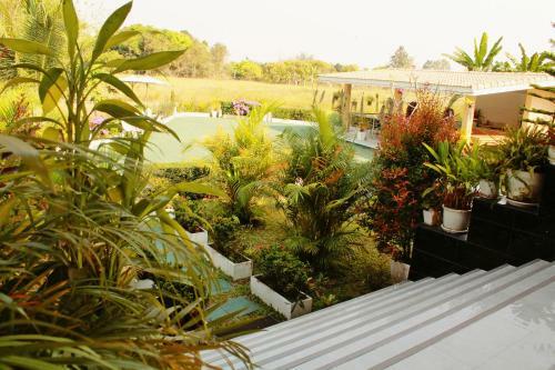Nok Resort & Hotel