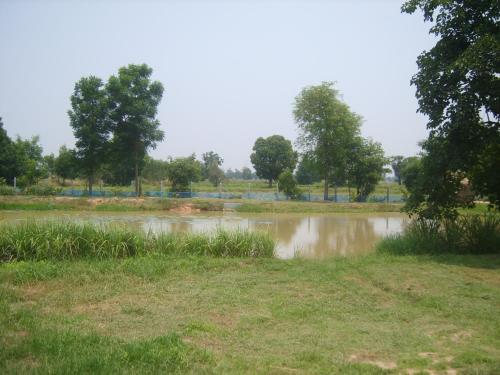 Hotel Chomna Resort