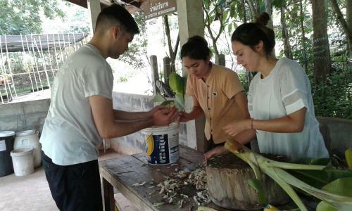 Hotel Phunacome Resort