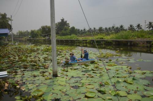 Agroturismo Sub Nai Din Coconut Farmstay