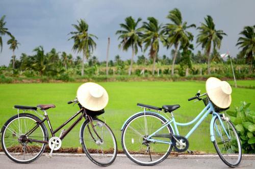 Agroturismo Sub Nai Din Coconut Farmstay