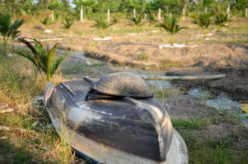 Agroturismo Sub Nai Din Coconut Farmstay