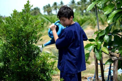 Agroturismo Sub Nai Din Coconut Farmstay