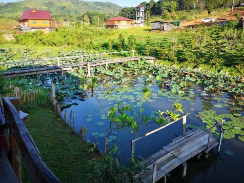 Hostal Maan Mork Khao Kho