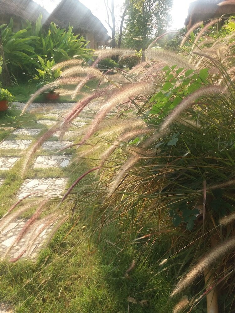Hotel Asita Eco Resort
