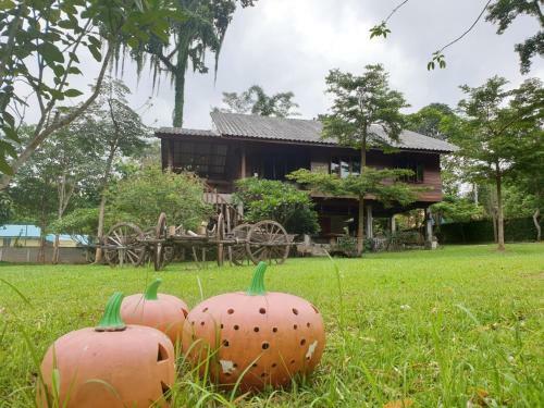 Hotel Chiang Dao Hut Resort