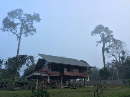 Hotel Chiang Dao Hut Resort