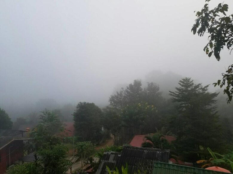 Hotel Forest Guesthouse