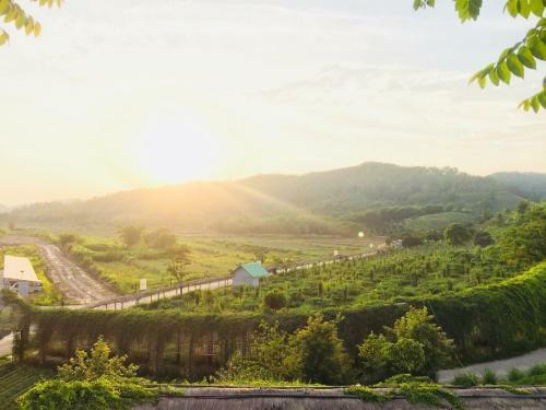 Rai Ruen Rom Organic Farm