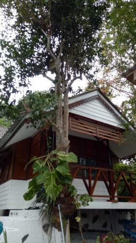 Hotel Comon Bungalow Haadchaophao