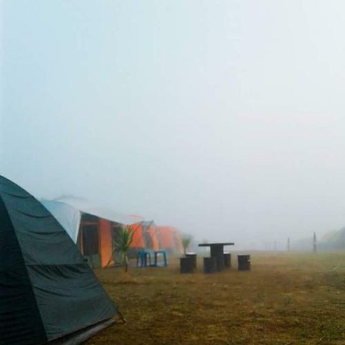 Friend Camp