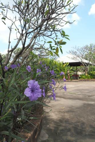 Hostal Country Inn