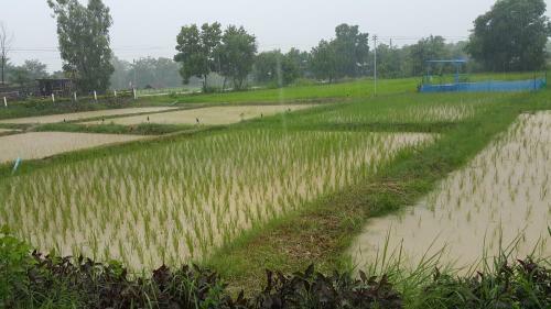 Hostal Muangway Garden Ville