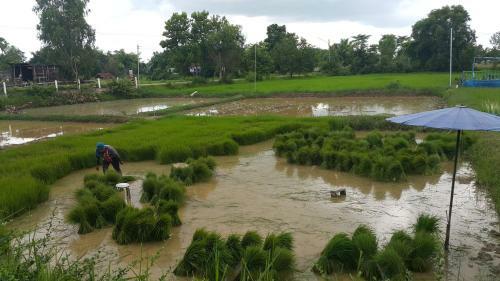 Hostal Muangway Garden Ville