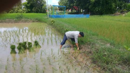 Hostal Muangway Garden Ville