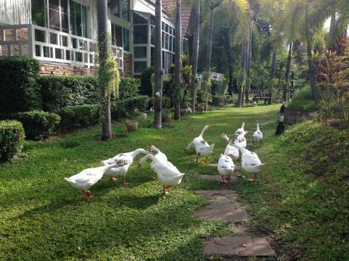 Hotel Watermill Resort