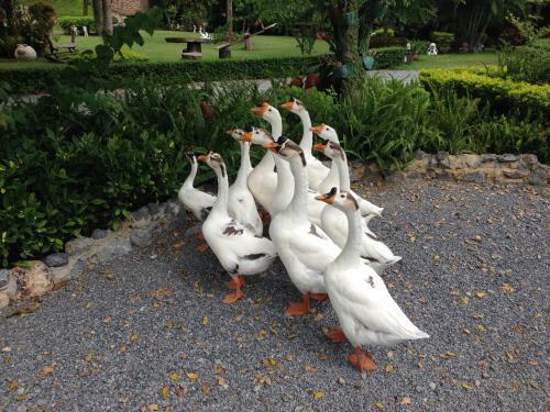 Hotel Watermill Resort