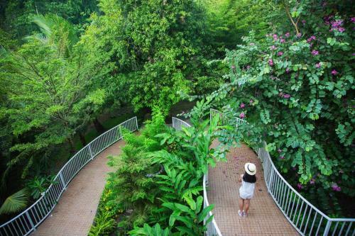 Hotel Watermill Resort