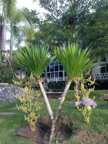 Hotel Watermill Resort