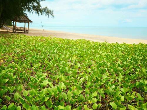Hotel Bayview Beach Resort