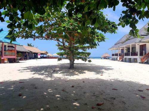 Hotel Nice Sea Resort