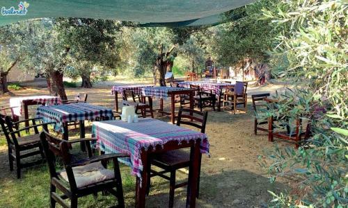 Hotel Oiki Beachcamp