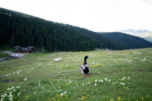 Birun Kumbet Dag Evi