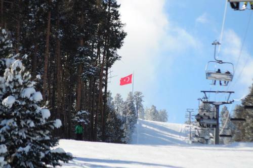Snowflake Dag Hotel