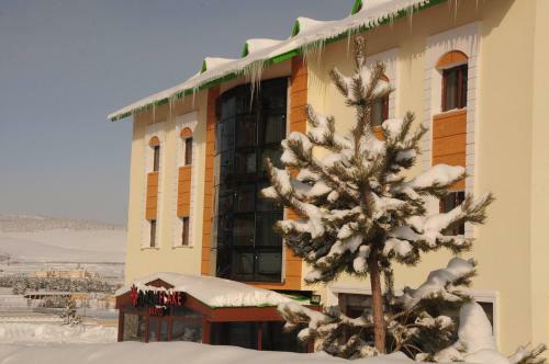 Snowflake Dag Hotel
