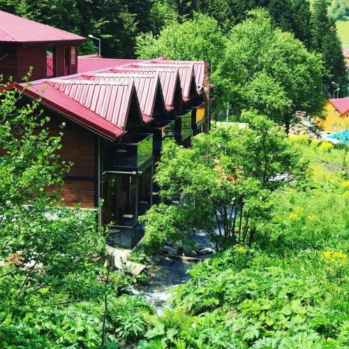 Hotel Amiral Park Uzung�l