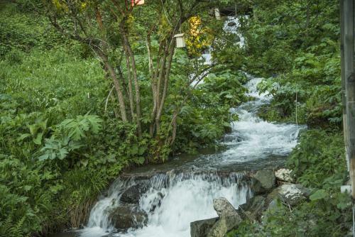 Hotel Amiral Park Uzung�l