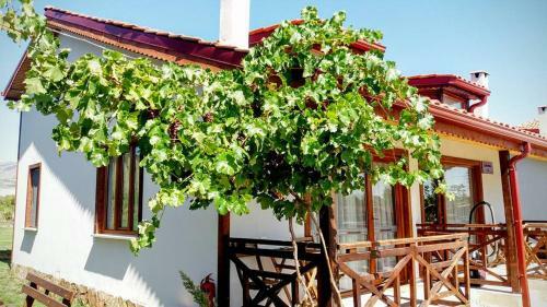 Tefenni Villas & Hotel