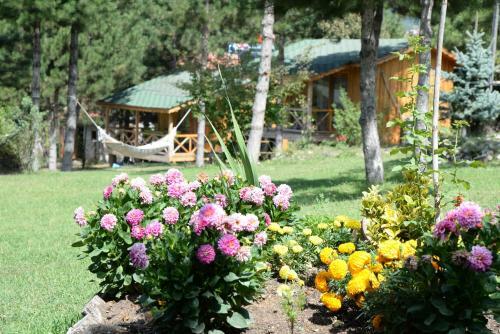 Hostal Nesilce Tatil K�y�