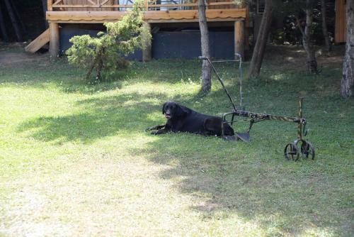 Hostal Nesilce Tatil K�y�
