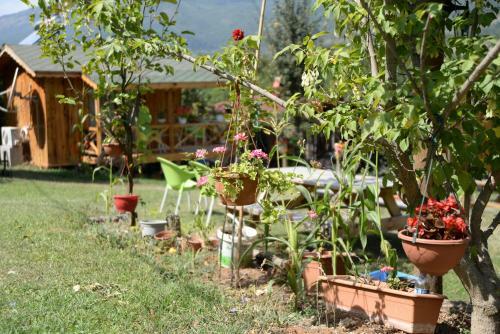 Hostal Nesilce Tatil K�y�
