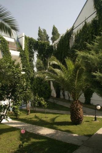 Hotel Nova Apart