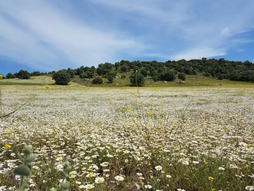 Agroturismo Alterna K�y Evi
