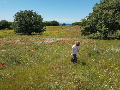 Agroturismo Alterna K�y Evi