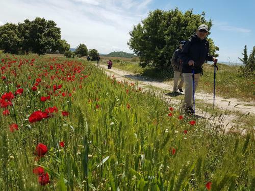 Agroturismo Alterna K�y Evi