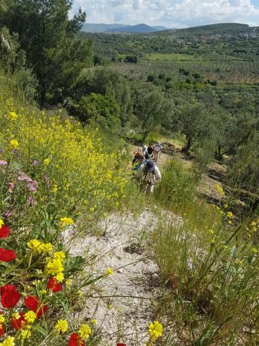 Agroturismo Alterna K�y Evi
