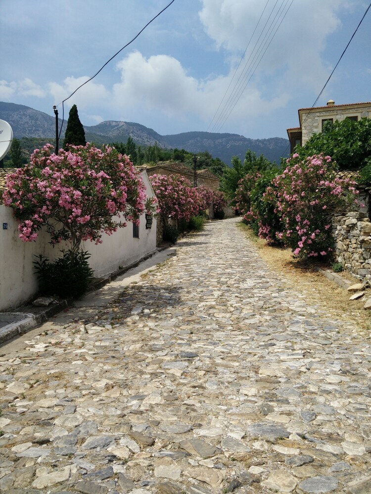 Hostal Bahab Guest House