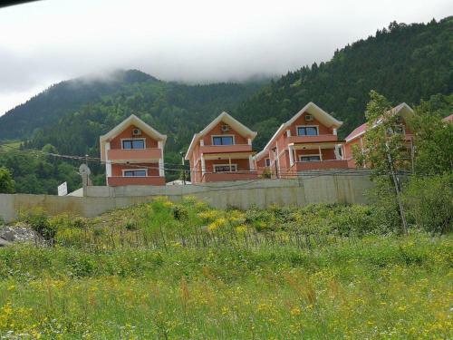 Hamsikoy Hotel
