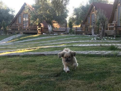Kazdaglari Ida Natura Bungalov Hotel