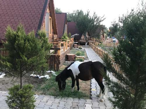 Kazdaglari Ida Natura Bungalov Hotel