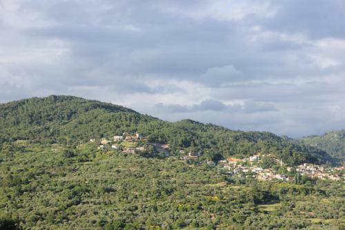 Hostal Assos Kayalar Terrace