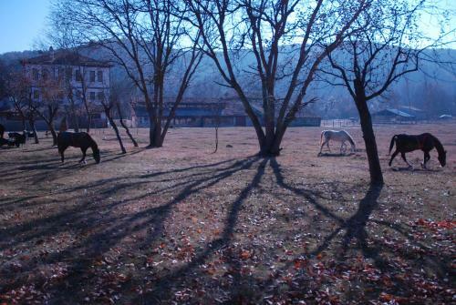 Agroturismo Hotel Sadibey Ciftligi