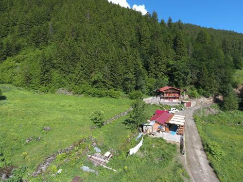 Ozturk Apart