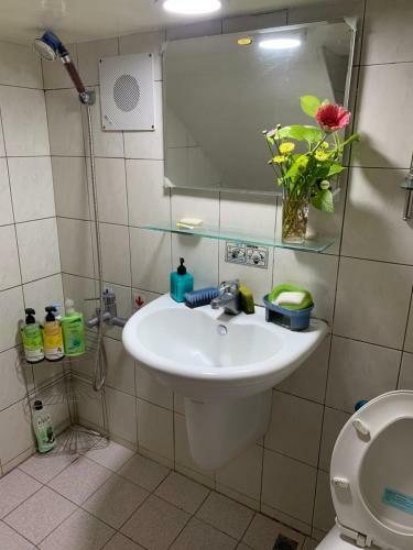 Miao Fu Homestay